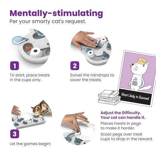 Nina Ottosson Rainy Day Puzzle & Play Cat Toy Treat Puzzle