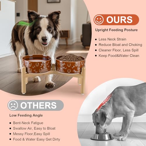 Elevated Dog Bowls Ceramic (7.3 in - 5.3 cups / Bronze - Skull)