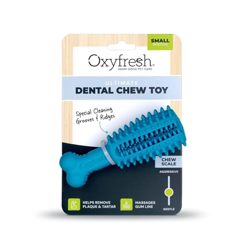 Dog Dental Chew Toy (Small)