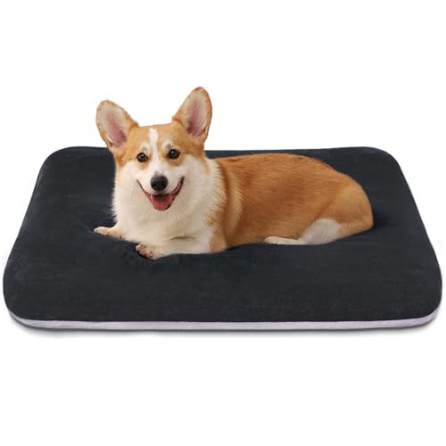 Orthopedic Medium Dog Bed 32 Inch (32.0"L x 24.0"W x 3.0"Th / Dark Grey)