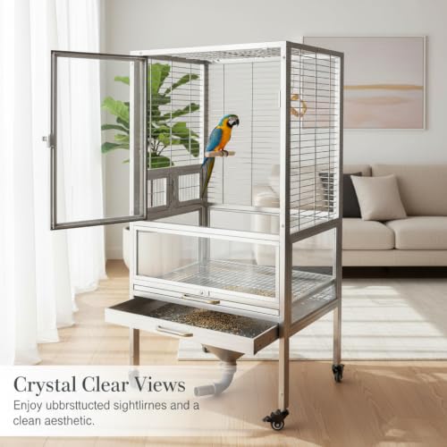 Cage Stainless Steel Glass