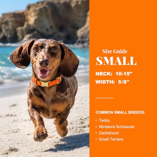 Soft Padded Dog Collar for Small Dogs (Orange / S：Fit 10-15" Neck, Width ⅝")