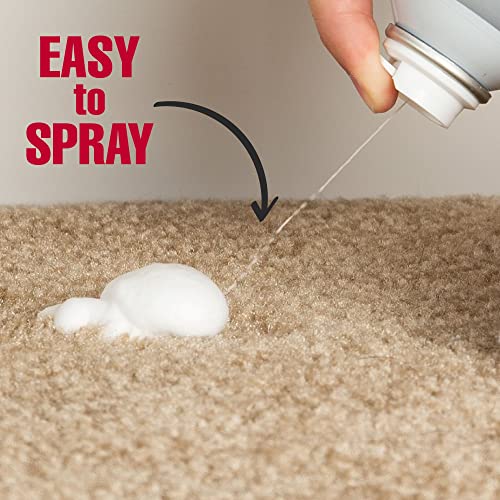 Dog Urine Destroyer Plus Foam (Foaming Aerosol / 17.5 Fl Oz (Pack of 1))