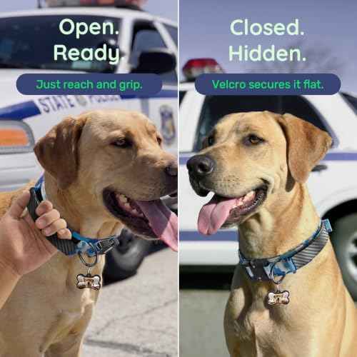 Personalized Tactical Dog Collar with Custom Photo Name for Large Dogs (Blue Camo / L: Fits Neck 17.5"-21.5")
