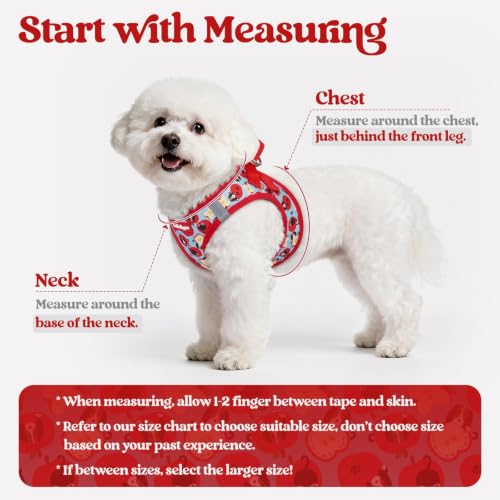 Dog Harness Small Sized and Leash Set (Apple Pups / Xxs (chest: 12.4 - 14.2"))