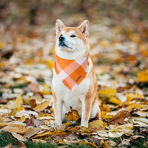 Fall Dog Bandana (Large / Fall)