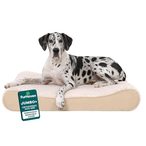 Orthopedic Dog Bed for Large Dogs (Jumbo Plus/XXL / Cream)