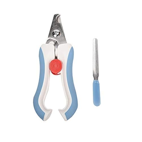 Bird Nail Clippers with Grinding Nail Scissors Tool Pet Parrot Claw Care (L / Blue)