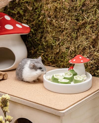 Hamster Snack Treat Toy
