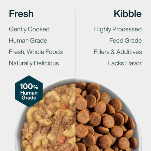 Pantry Fresh Wet Dog Food Complete Meal or Dog Food Topper (12.5 Ounce (Pack of 12))