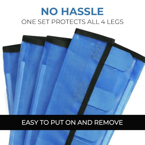 Mesh Horse Fly Boots Set of 4 (Blue)