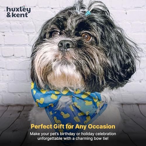 Pet Bow Tie for Dogs & Cats (Small)