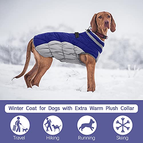Dog Coat for Large Dogs (Blue / XXXL(chest:43in))