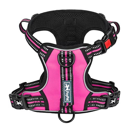 No Pull Dog Harness with 3 Leash Clips and Vertical Handle (Medium / Pink)