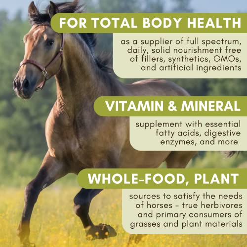 Horse Supplement for Total Body Health
