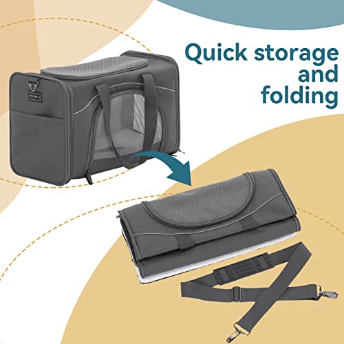 Airline Approved Pet Carrier for Small Dogs & Cats (Grey / 19.0"L x 9.5"W x 12.0"H)