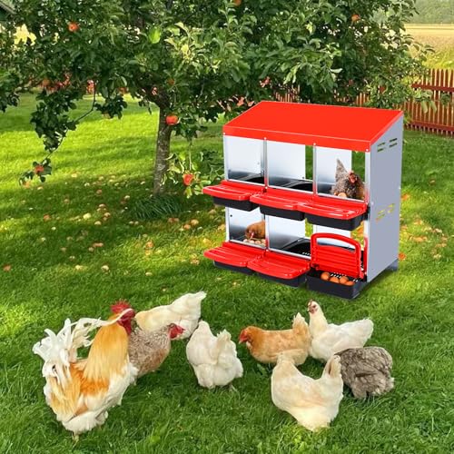 Chicken Nesting Box (Red- 6 compartment)