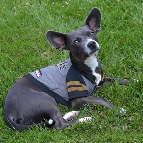 PET Hoodie T Shirt for Dogs & Cats. NFL Los Angeles Rams Football Licensed Dog Hoody Tee Shirt (X-Small / Los Angeles Rams)
