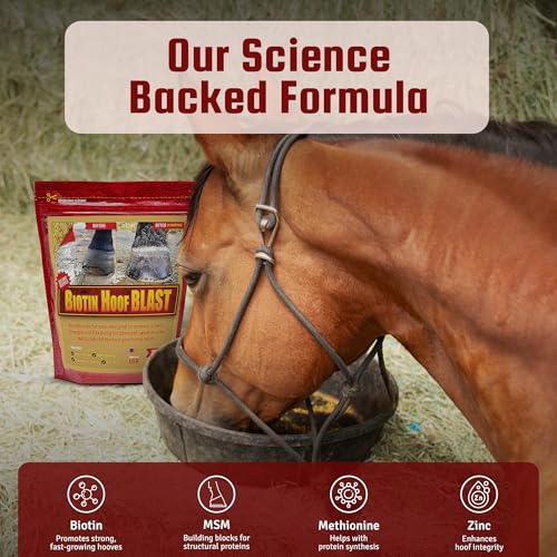 Hoof Supplements for Horses (10 Pounds)