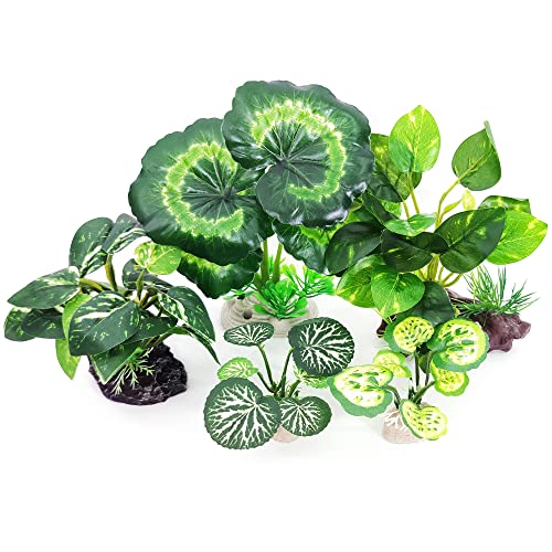 5Pack Tall Aquarium Plants (B-5pcs Set/Green)