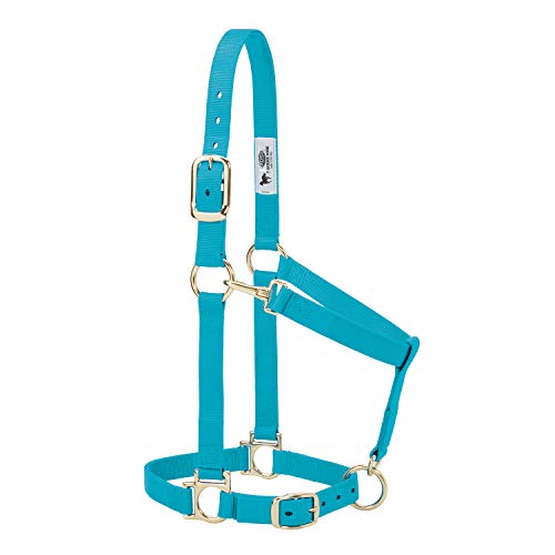 Nylon Horse Halter (Turquoise / 1" Small Horse)