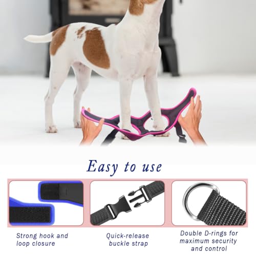 Comfort Fit No Pull Dog Harness (XS (Chest 13"-14.5") / Blue)