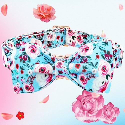 Summer Dog Collar (Blue Rose / X-Large (Pack of 1))