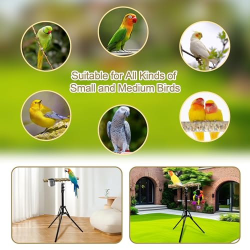 16 63 Inch Height Adjustable Bird Perch Pepper Wood Bird Training Perch Stand Parakeet Perches Indoor and Outdoor Parrot Stands for Small to Medium Bird (Floor Bird Perch)