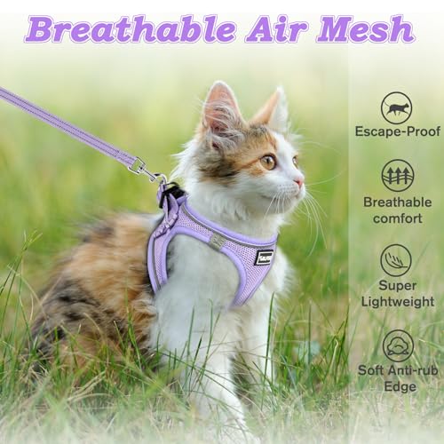 Cat Harness and Leash for Walking Escape Proof (L / Purple)