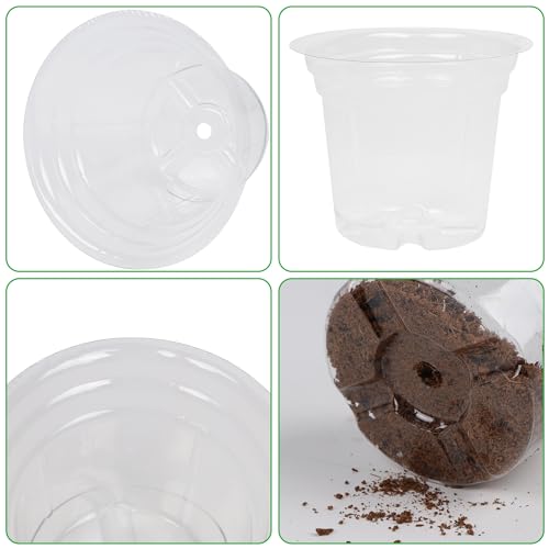 4 Inch Seed Starter Tray for Vegetable Herb Lettuce Seeds (4 Inch-60Pack)
