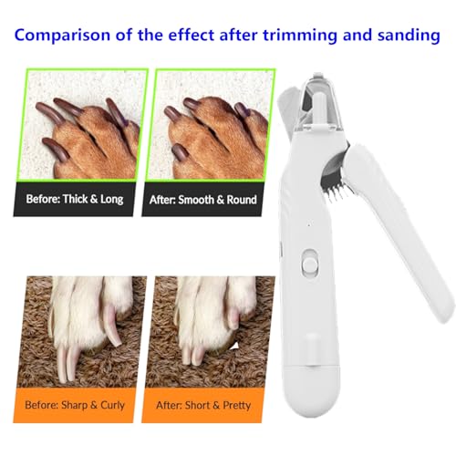 Super Handy Latest Model
