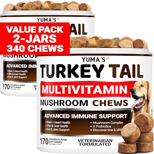 2 Pack) Turkey Tail Mushroom for Dogs - 340 Ct - Mushroom Chews for Dogs (Multivitamin Mushroom Complex / Value Pack (340 Mushroom Chews))