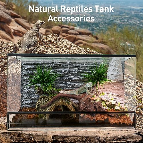 Natural Driftwood for Aquarium Decor (Mopani driftwood （5-8 inch pack of 5）)