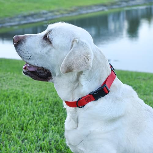Biothane Waterproof Dog Collar with Quick Release Buckle Strong Coated Nylon Webbing with Odor (3/4"W by 12-19"L / Cherry Red)