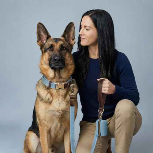PU Leather Dog Collar for Large Dogs (Denim Blue / XL: Neck 20-27", Width 1¼")