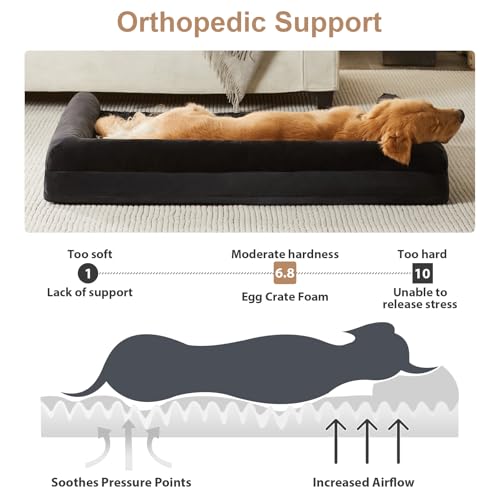 Orthopedic Washable XLarge Dog Bed for Senior Dog Cozy Sleep (42"l x 30"w x 7"th / Black)