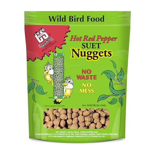 Berry Flavor Suet Nuggets (1.69 Pound (Pack of 1))