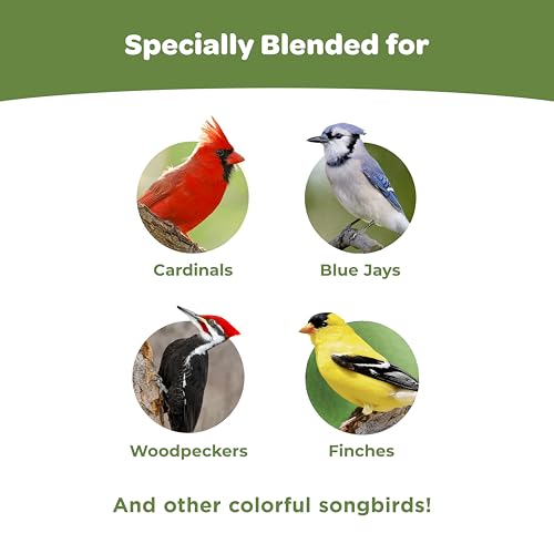 Ultimate Birder's Blend Food (10 Pound (Pack of 1) / Birder's Blend)