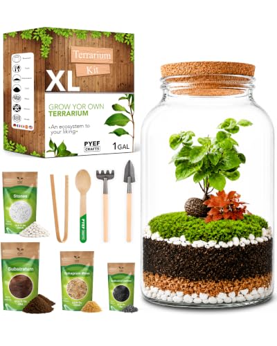Terrarium Kit for Plants DIY (1 Gallon)