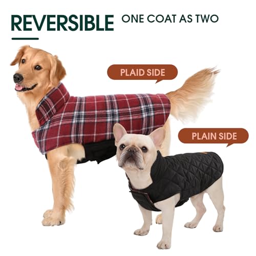 Waterproof Dog Coat (Red / Small (Pack of 1))
