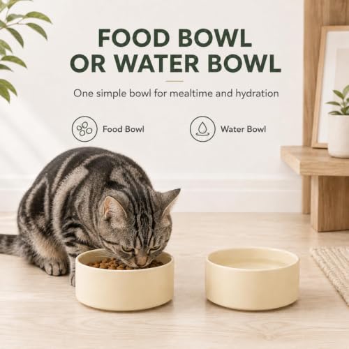 Cat Bowls Set of Two (Light Yellow)