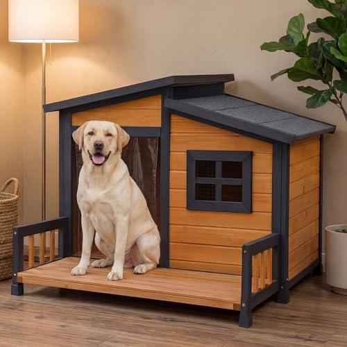 Large Outdoor Dog House W