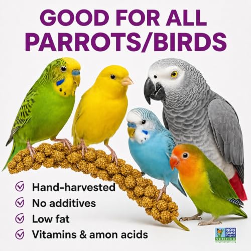 2lbs French Kissed Spray Millet for Birds (2lb)