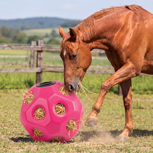 15.75" Extra Large Slow Feed Hay Ball for Horses (Pink)