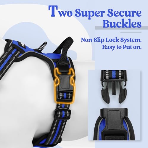 Dog Harness No Pull Medium Sized with 2 Leash Clips (Medium / Dazzling Blue)