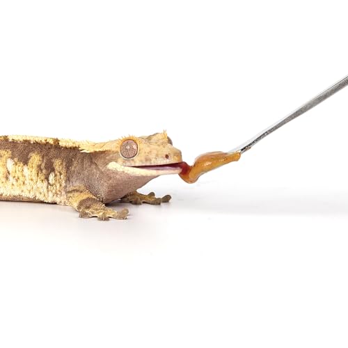 2Pcs Crested Gecko Feeding Spoon (0.5 Ounce (Pack of 2))