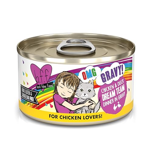 B.F.F. OMG Best Feline Friend Oh My Gravy! (2.8 Ounce (Pack of 12))