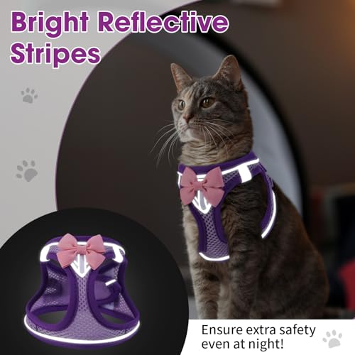 Cat Vest Harness and Leash Set (Purple / M)