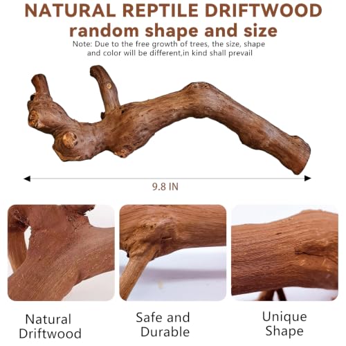 2PCS Reptile Wood Branches Decor (2Pcs 9.8in Grapewood Branches)