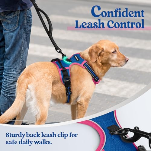 Dog Harness No Pull for Small Dogs with 2 Leash Clips